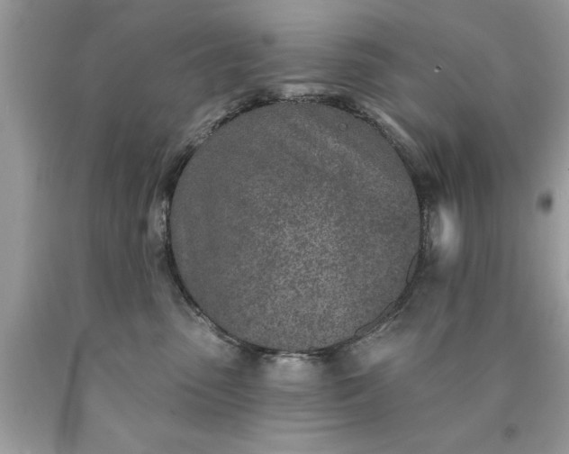 X0000090460475200707272241