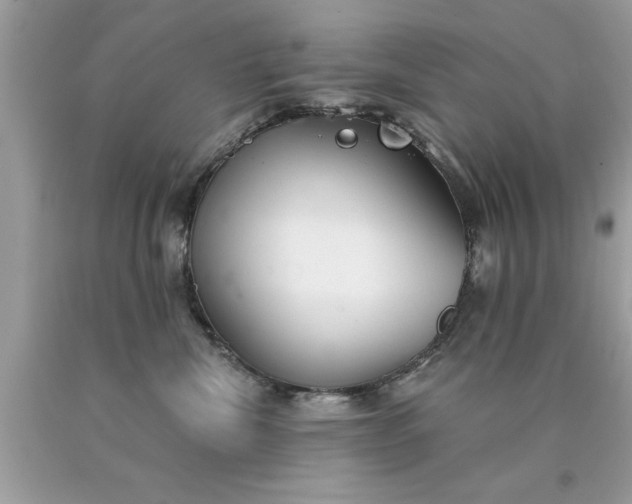 X0000090460476200707272241