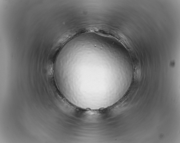 X0000090460477200707272241
