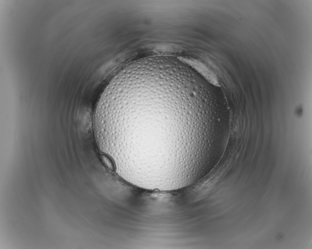 X0000090460478200707272241