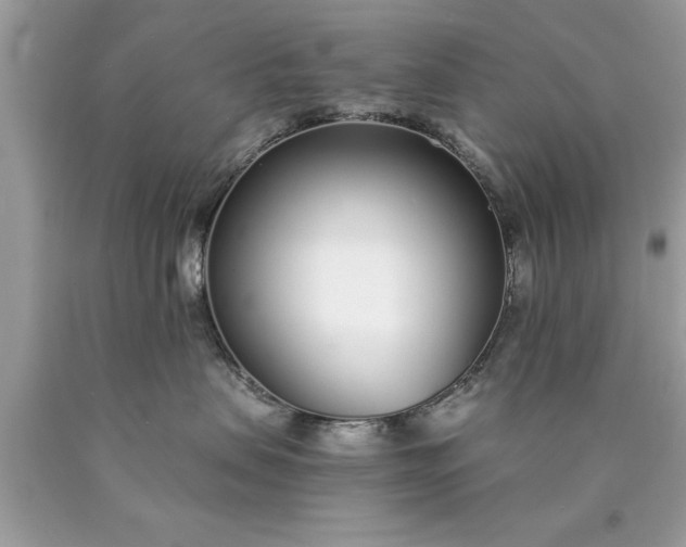 X0000090460479200707272241