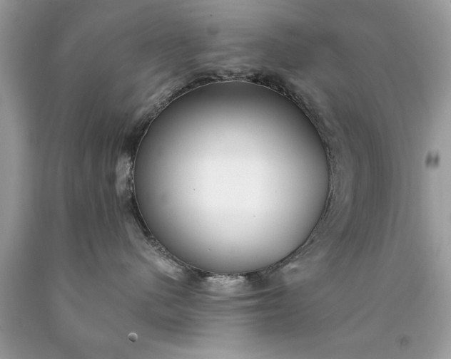 X0000090460480200707272241
