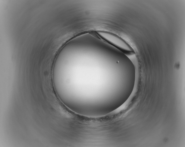 X0000090460481200707272240