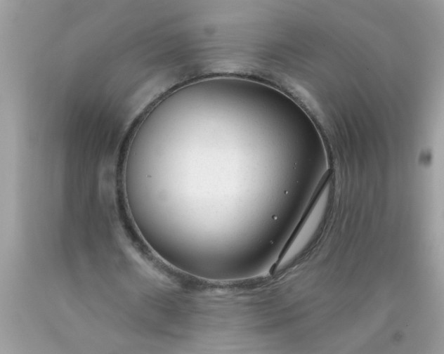 X0000090460482200707272240