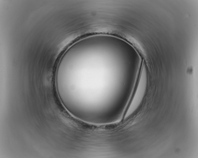 X0000090460483200707272240