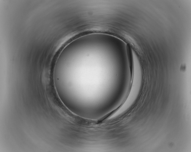 X0000090460484200707272240