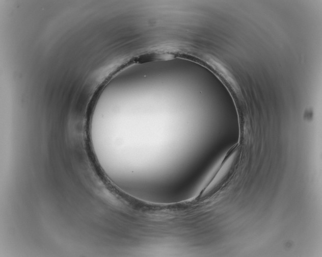 X0000090460485200707272240