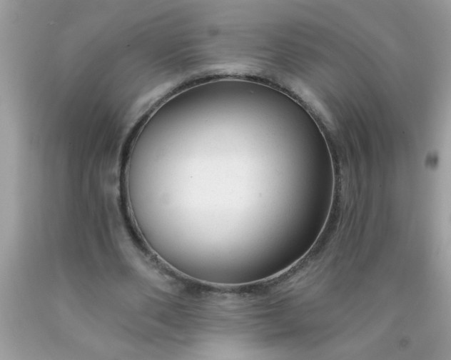 X0000090460486200707272240