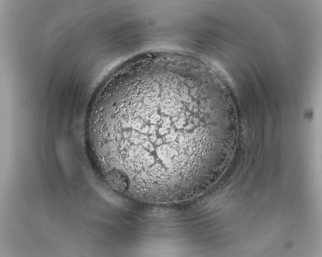X0000090460487200707272240