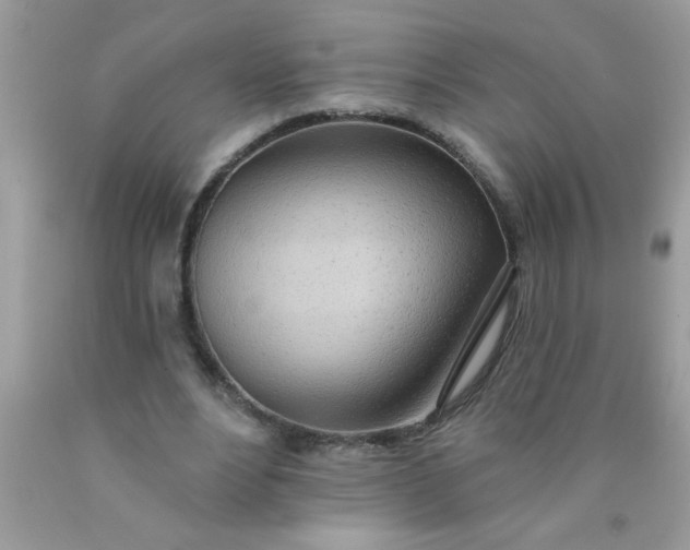 X0000090460488200707272240