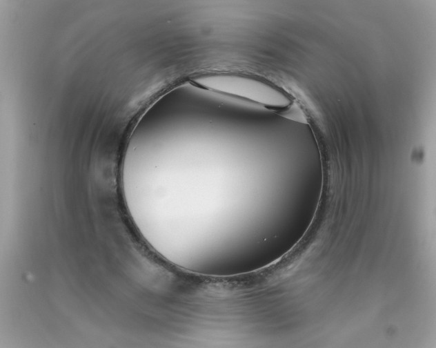 X0000090460489200707272240