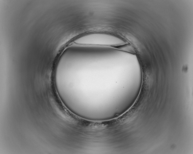 X0000090460491200707272240
