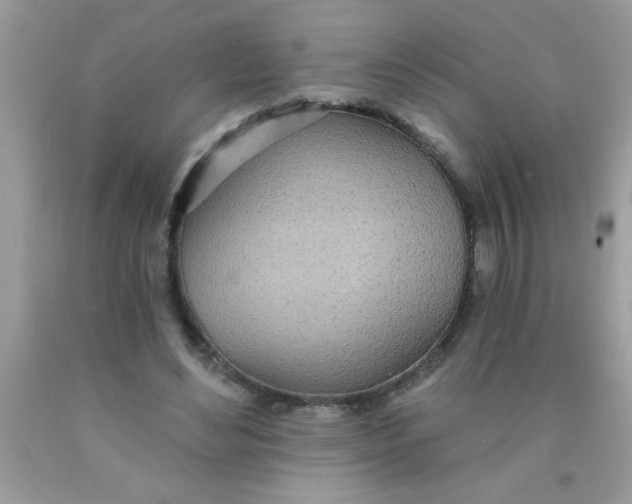 X0000090460492200707272240