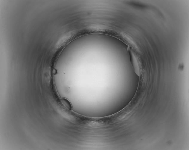 X0000090460494200707272240