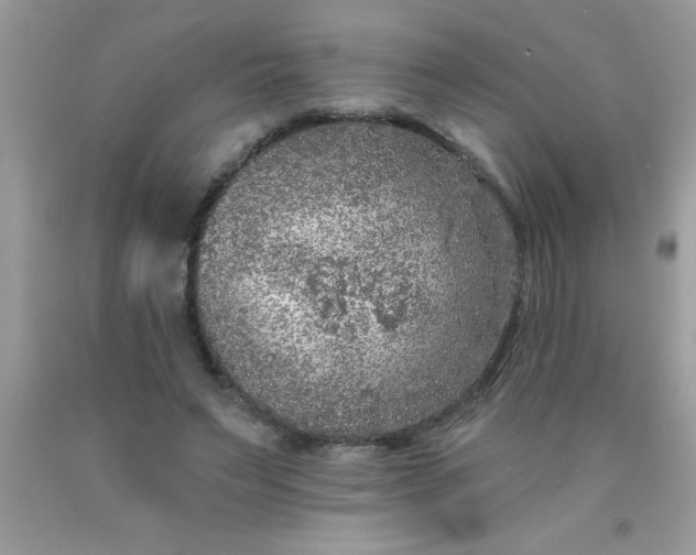 X0000090460495200707272240