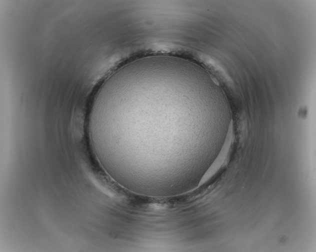 X0000090460496200707272240