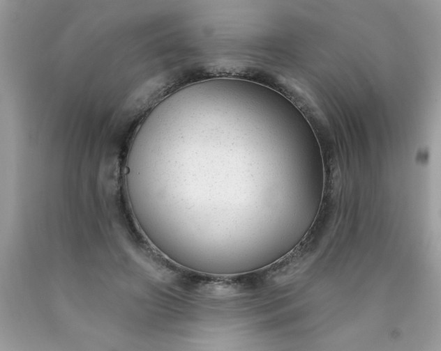 X0000090460498200707272240
