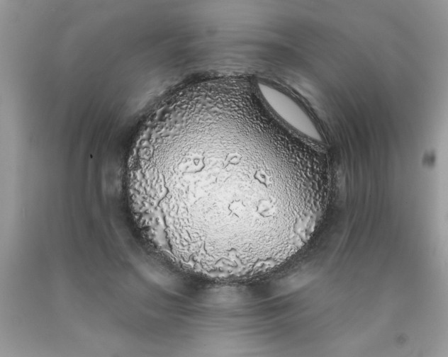 X0000090460499200707272240