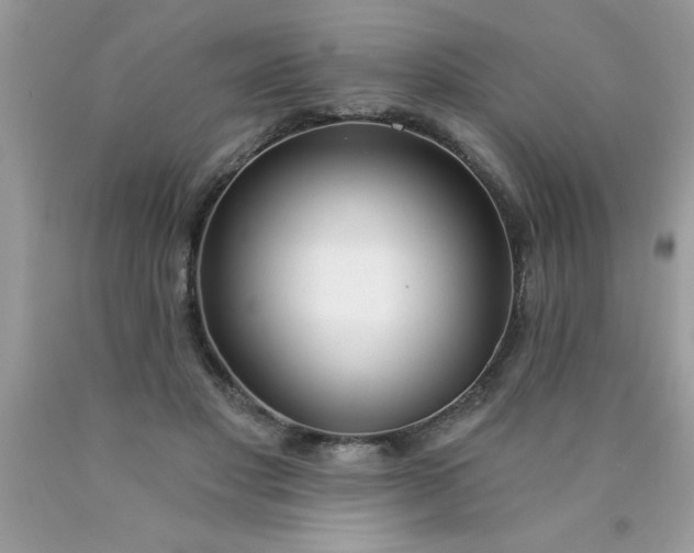 X0000090460501200707272240