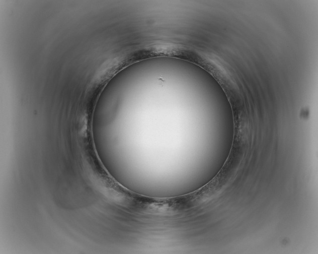 X0000090460502200707272240