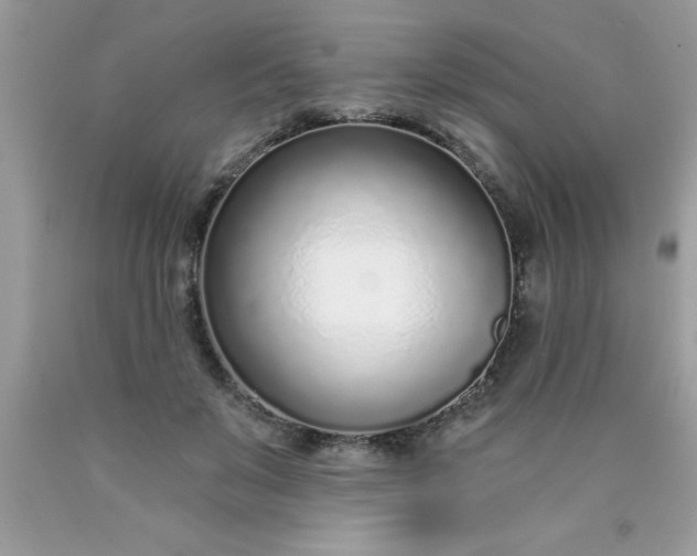 X0000090460503200707272240