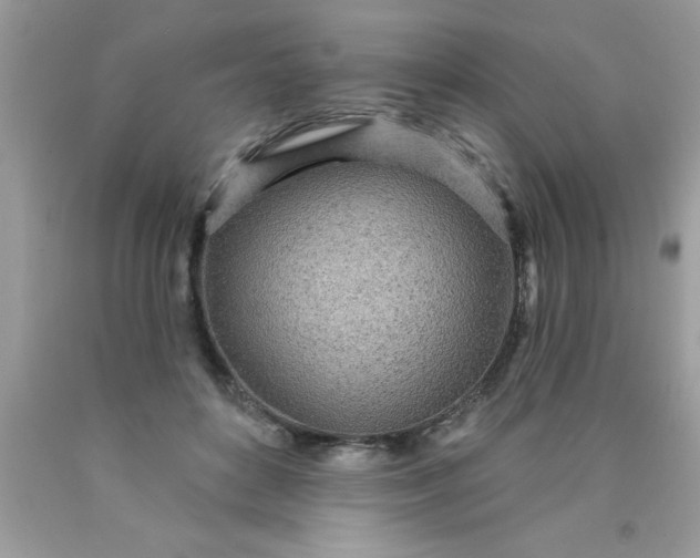 X0000090460504200707272240