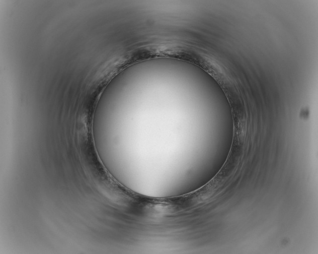 X0000090460506200707272240