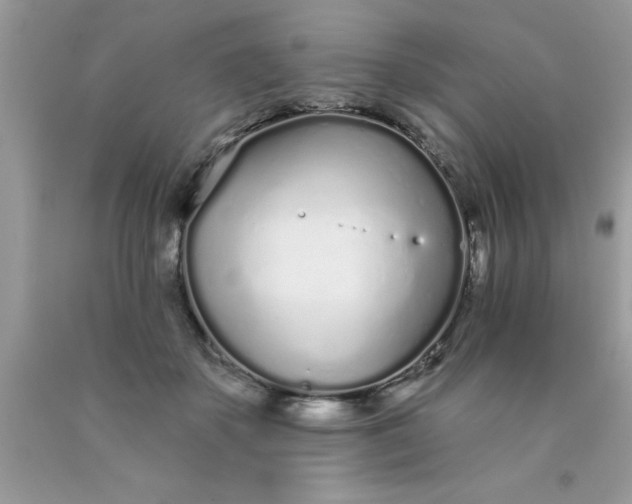 X0000090460507200707272240