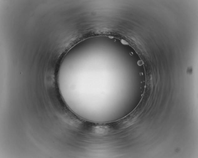 X0000090460508200707272240