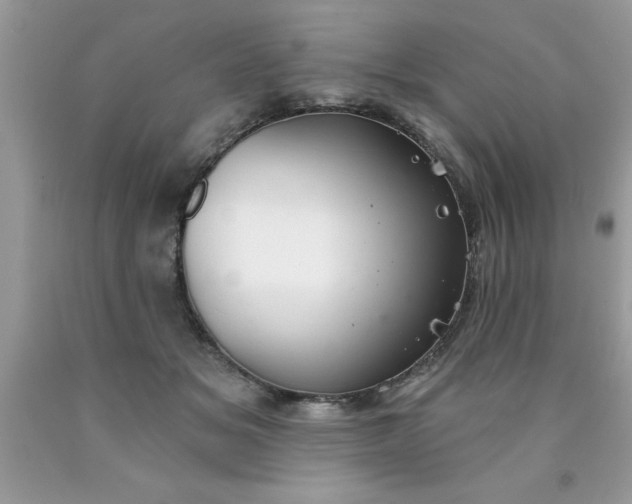 X0000090460509200707272240