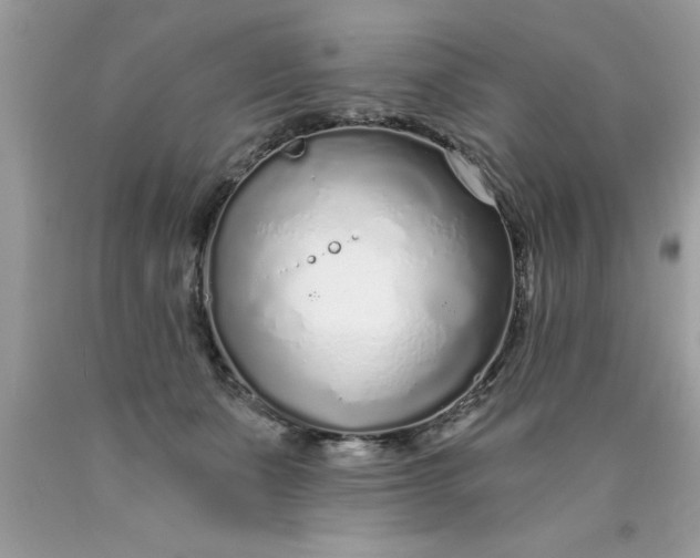 X0000090460511200707272240