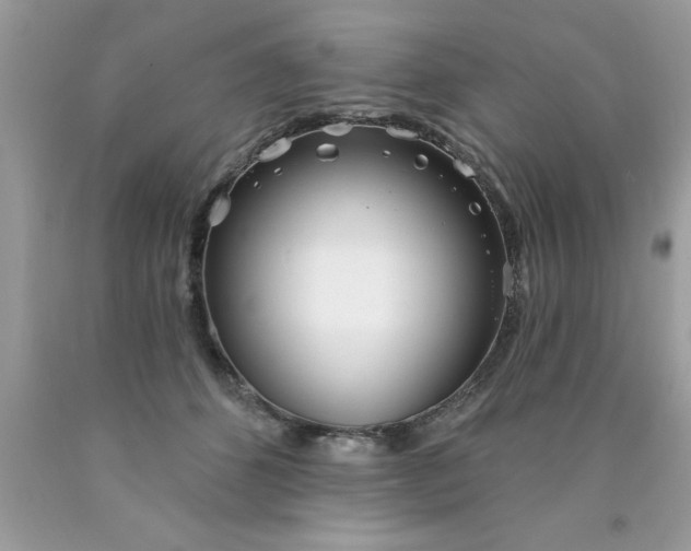 X0000090460512200707272240