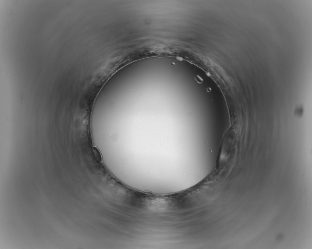 X0000090460513200707272240