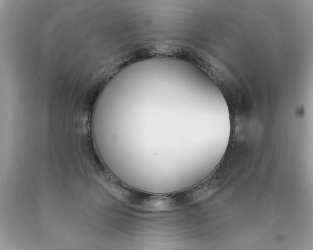 X0000090460514200707272240