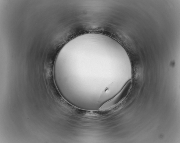 X0000090460515200707272240