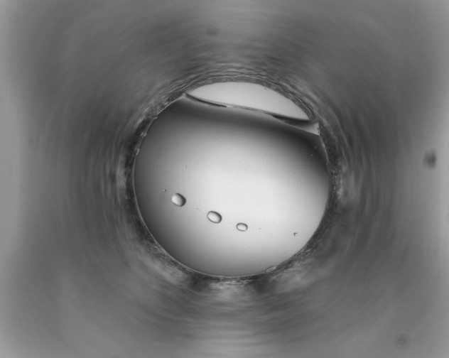X0000090460516200707272240