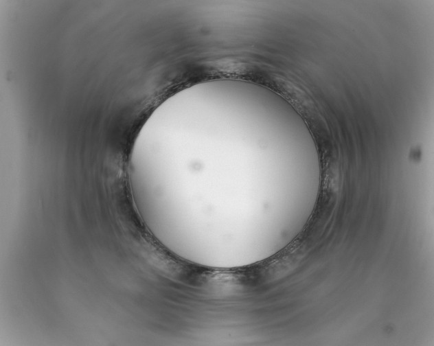 X0000090460518200707272240