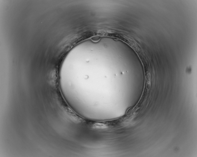 X0000090460519200707272240