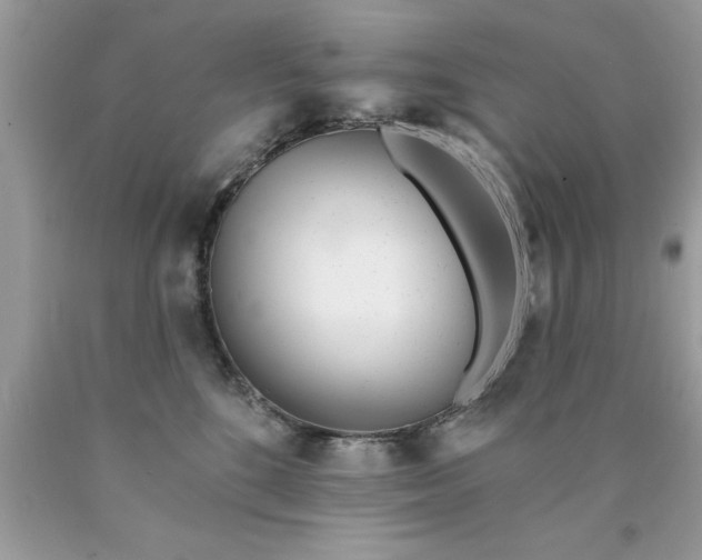 X0000090460520200707272240