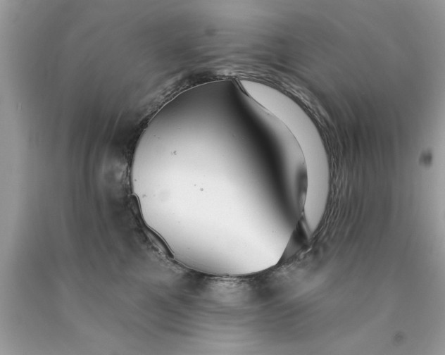 X0000090460521200707272240