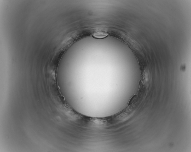 X0000090460522200707272240