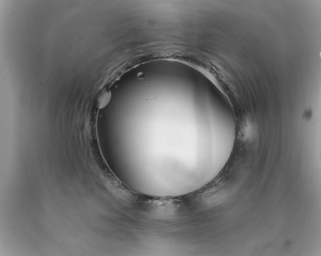 X0000090460524200707272240