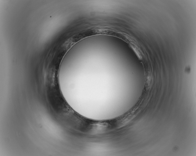 X0000090460525200707272240