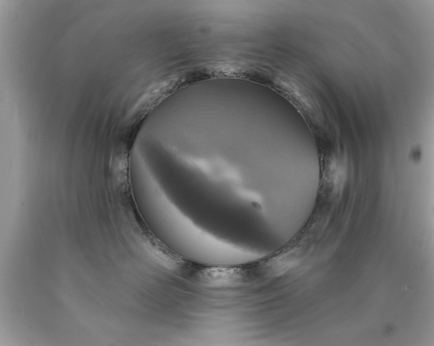 X0000090460526200707272240