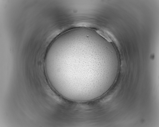 X0000090460529200707272239
