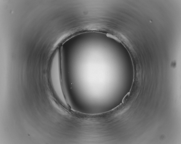 X0000090460530200707272239