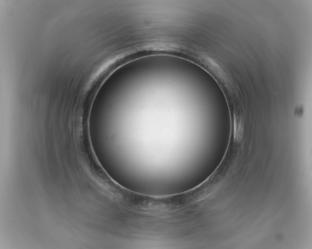 X0000090460531200707272239