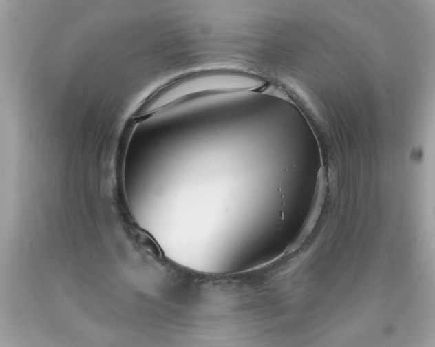 X0000090460532200707272239