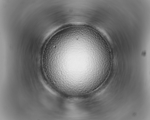 X0000090460533200707272239