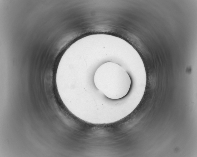 X0000090460534200707272239